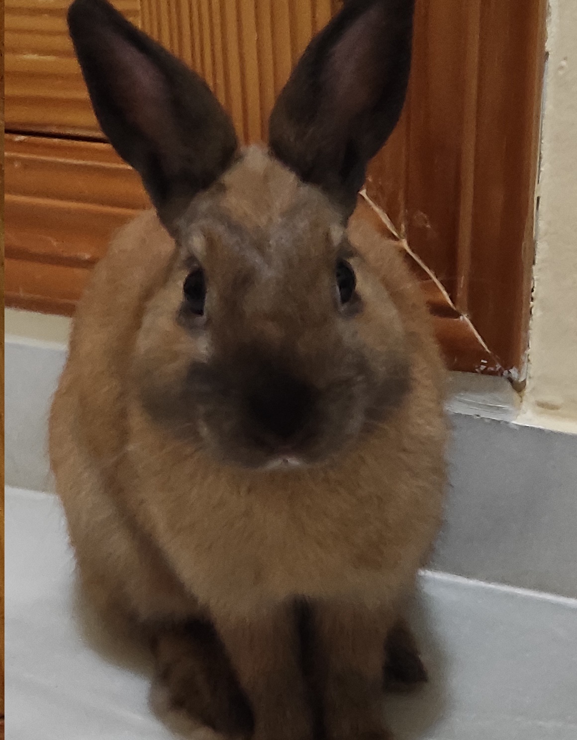 Profile picture for user IreneGuirado