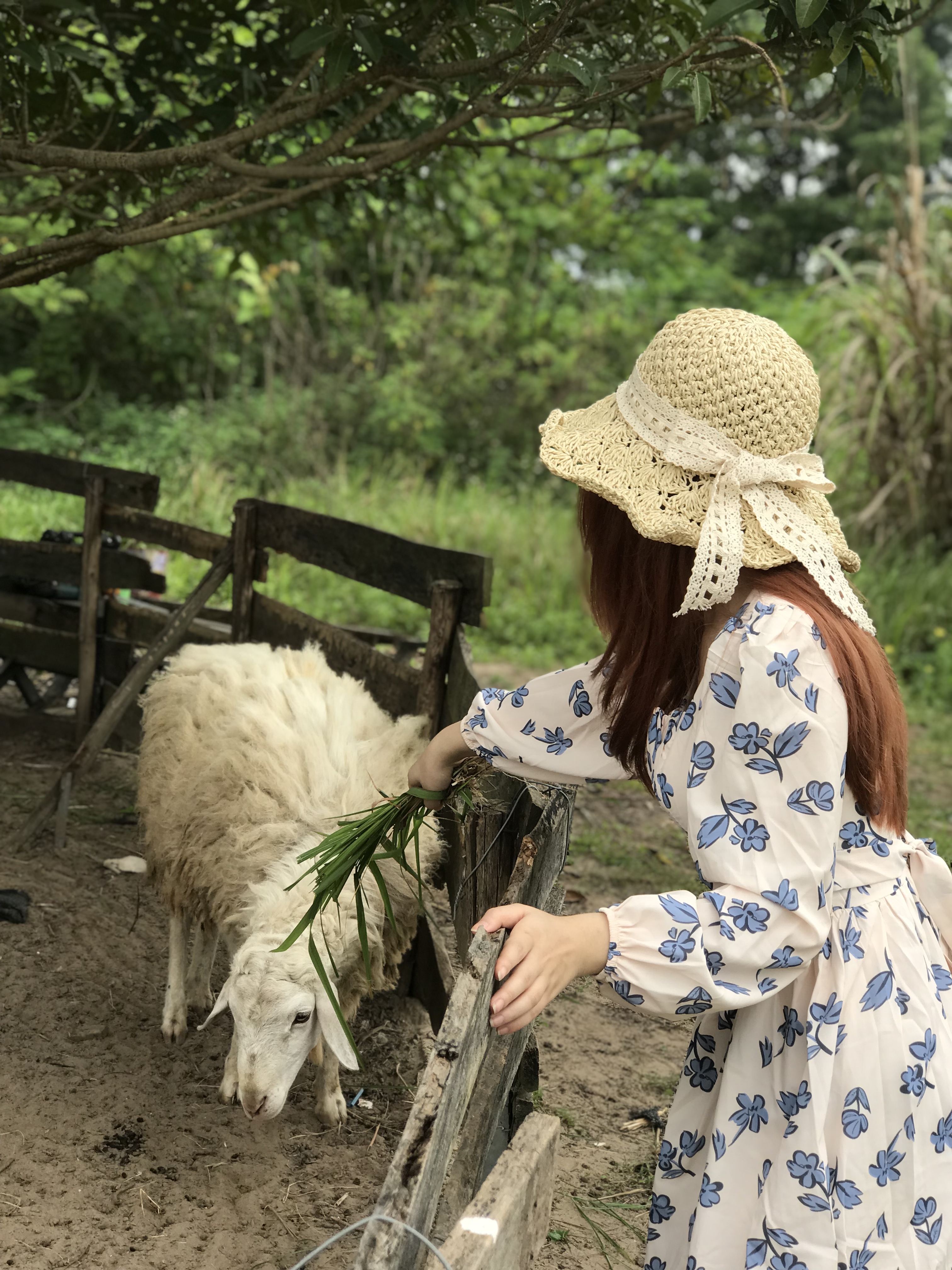 Profile picture for user AnnieNguyen21