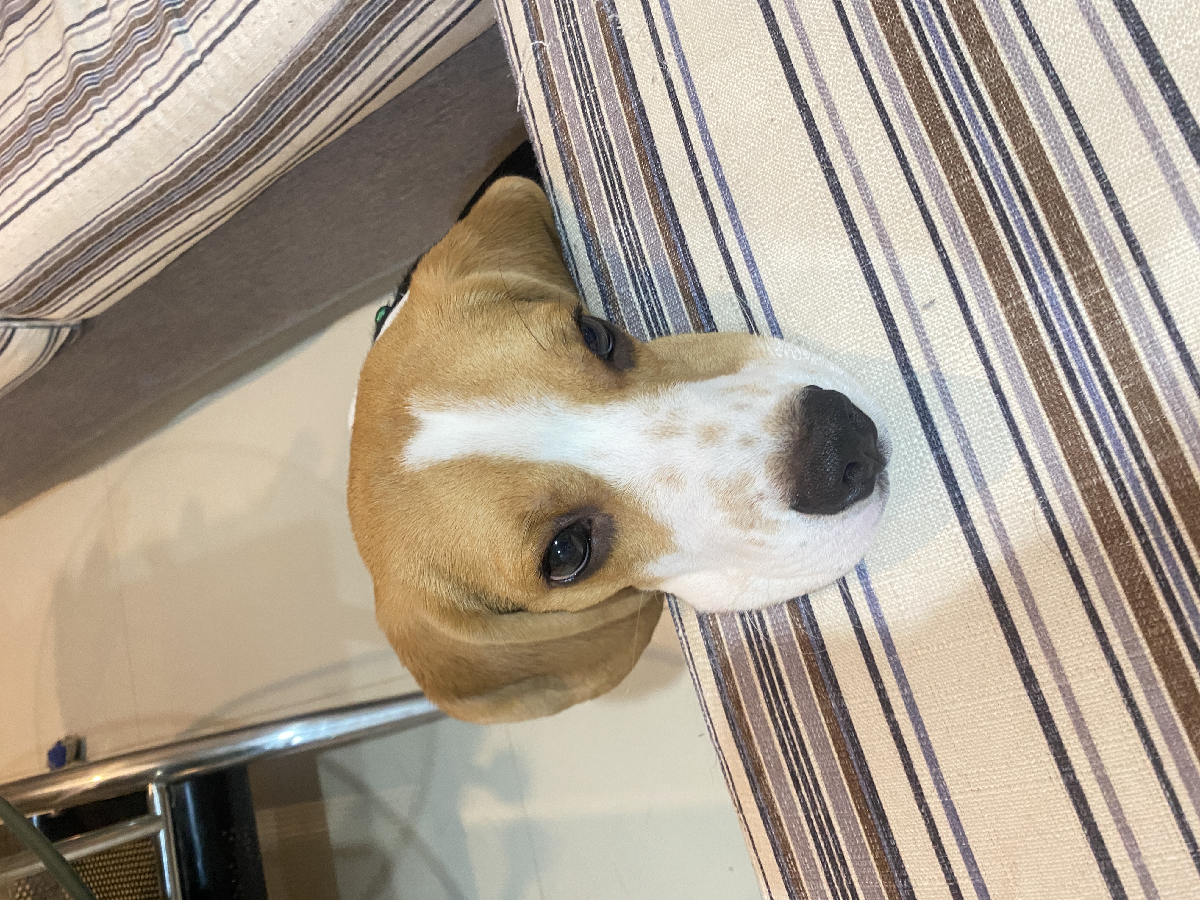 Profile picture for user NUNOOY