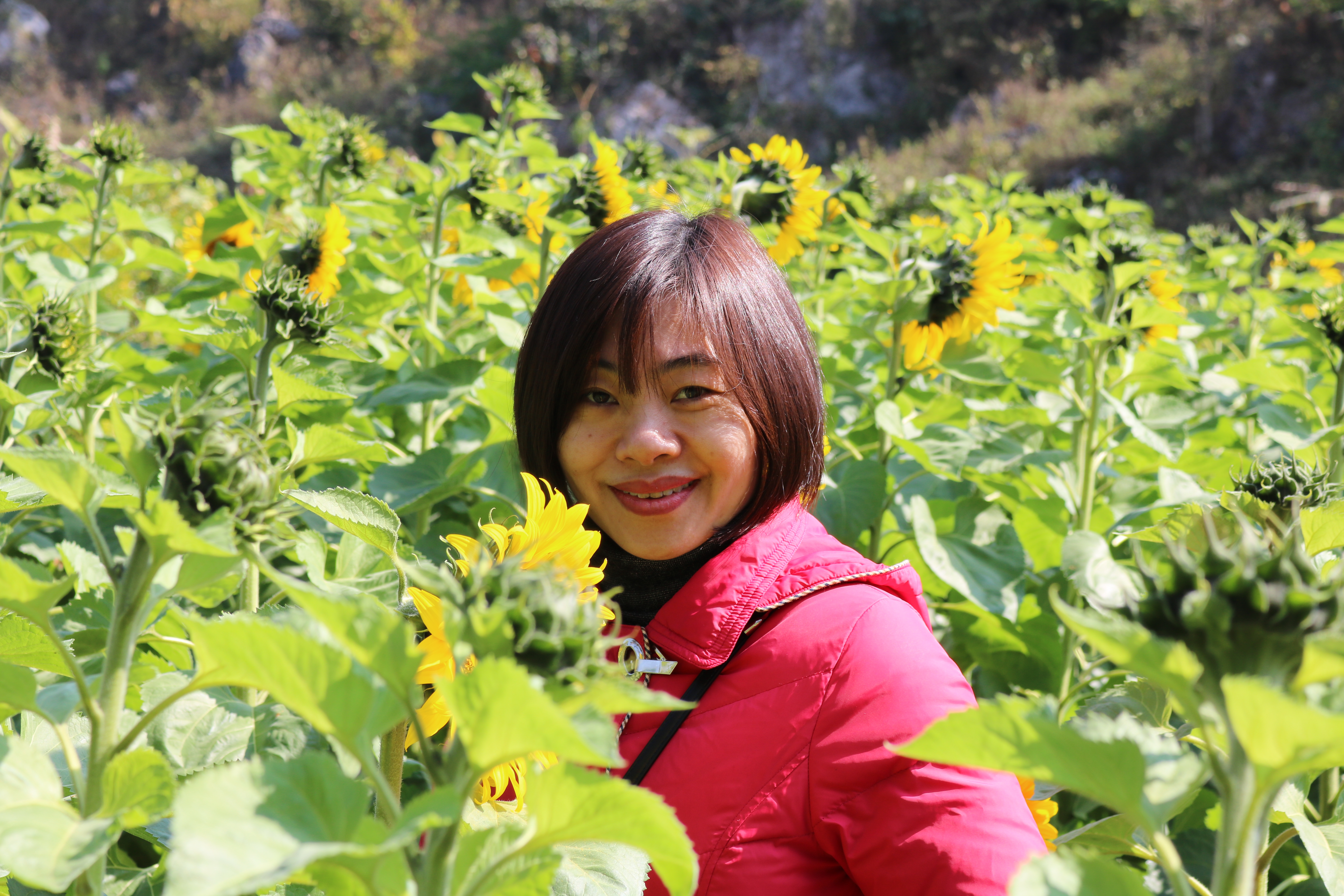 Profile picture for user lananhnewwind