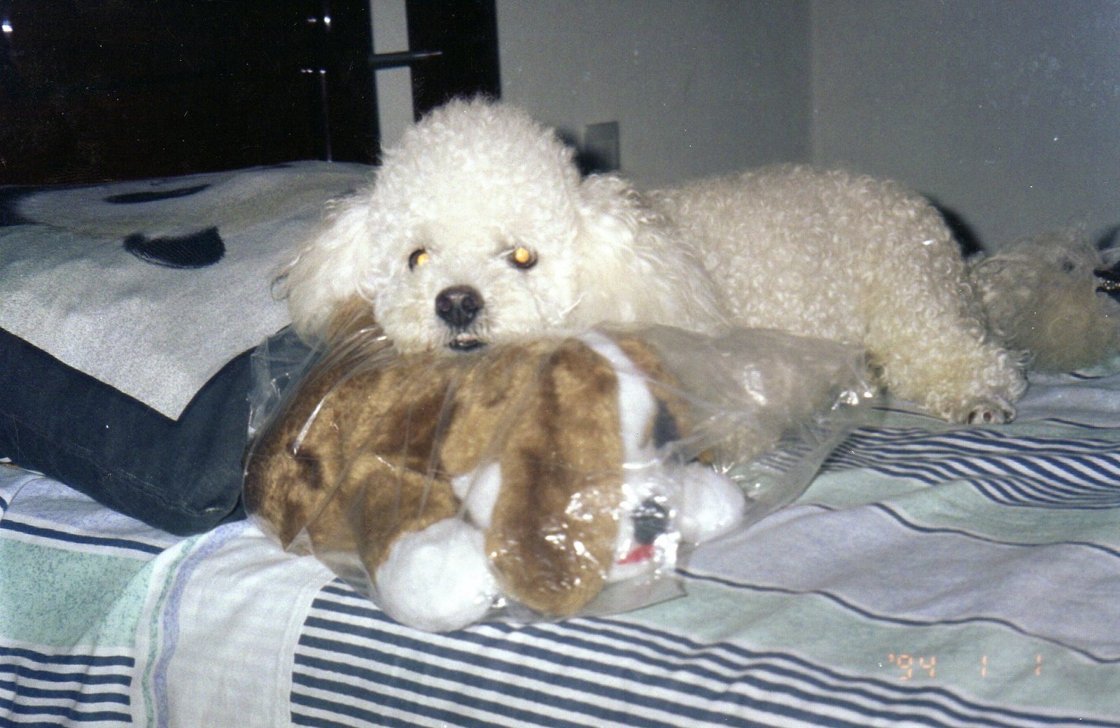 Profile picture for user profJoselma