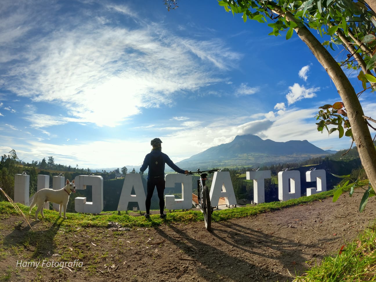 Profile picture for user Teacherhamy