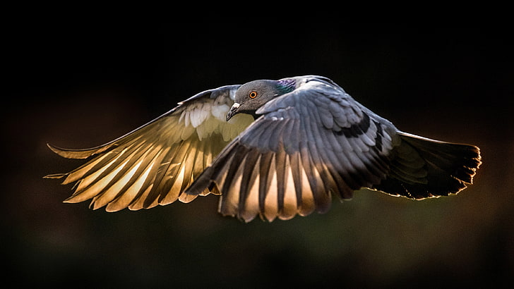 Profile picture for user sandhya_2021