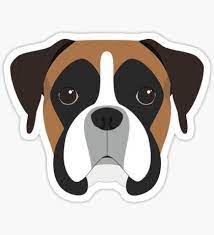 Profile picture for user Oruncio