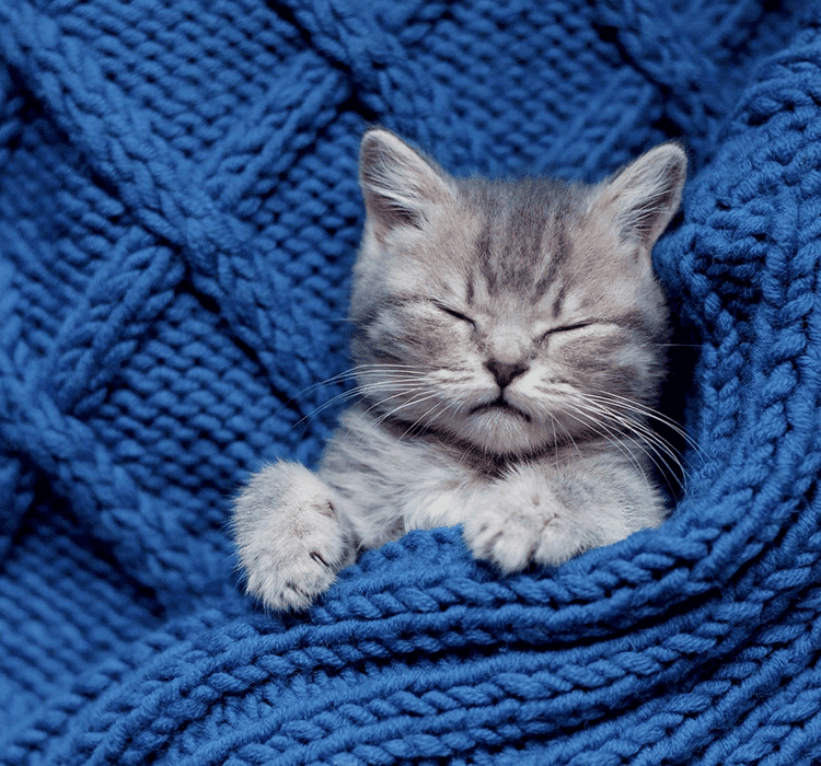 Profile picture for user harciga