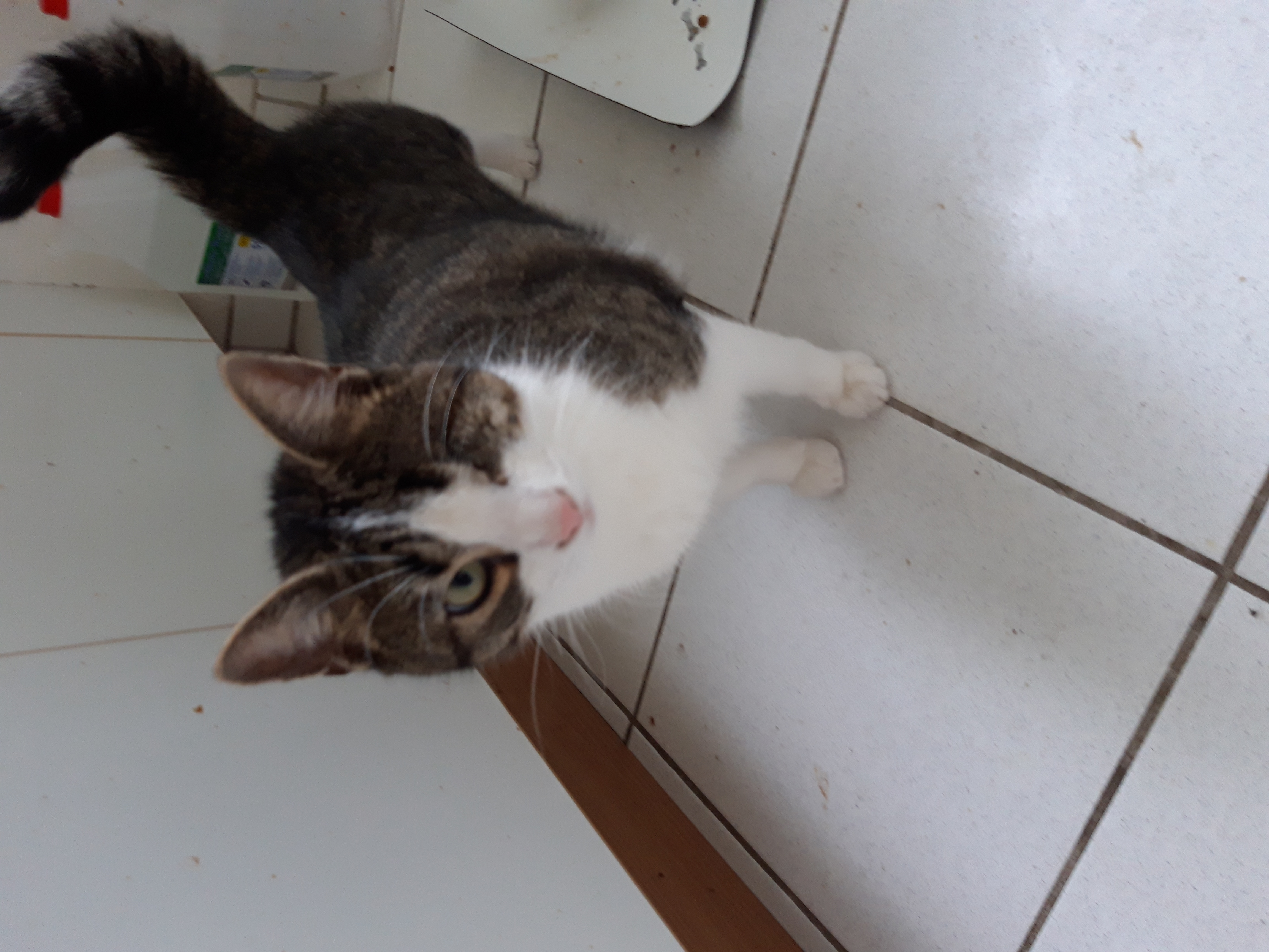 Profile picture for user michsky