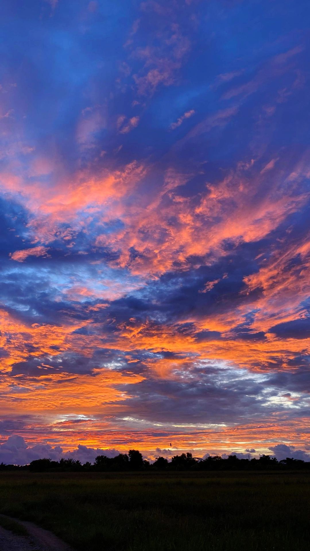 Profile picture for user maschwan