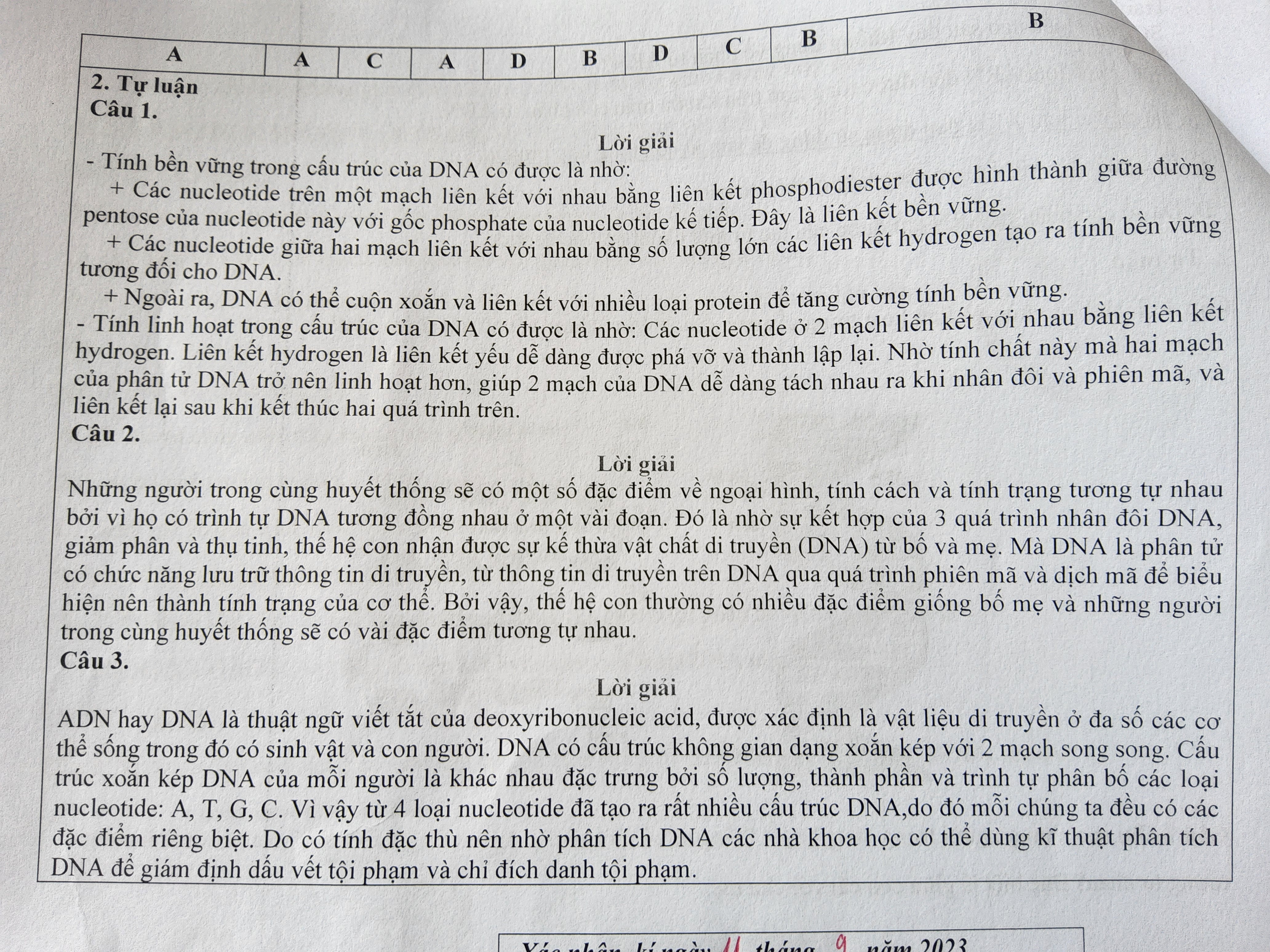 Profile picture for user nhungbio