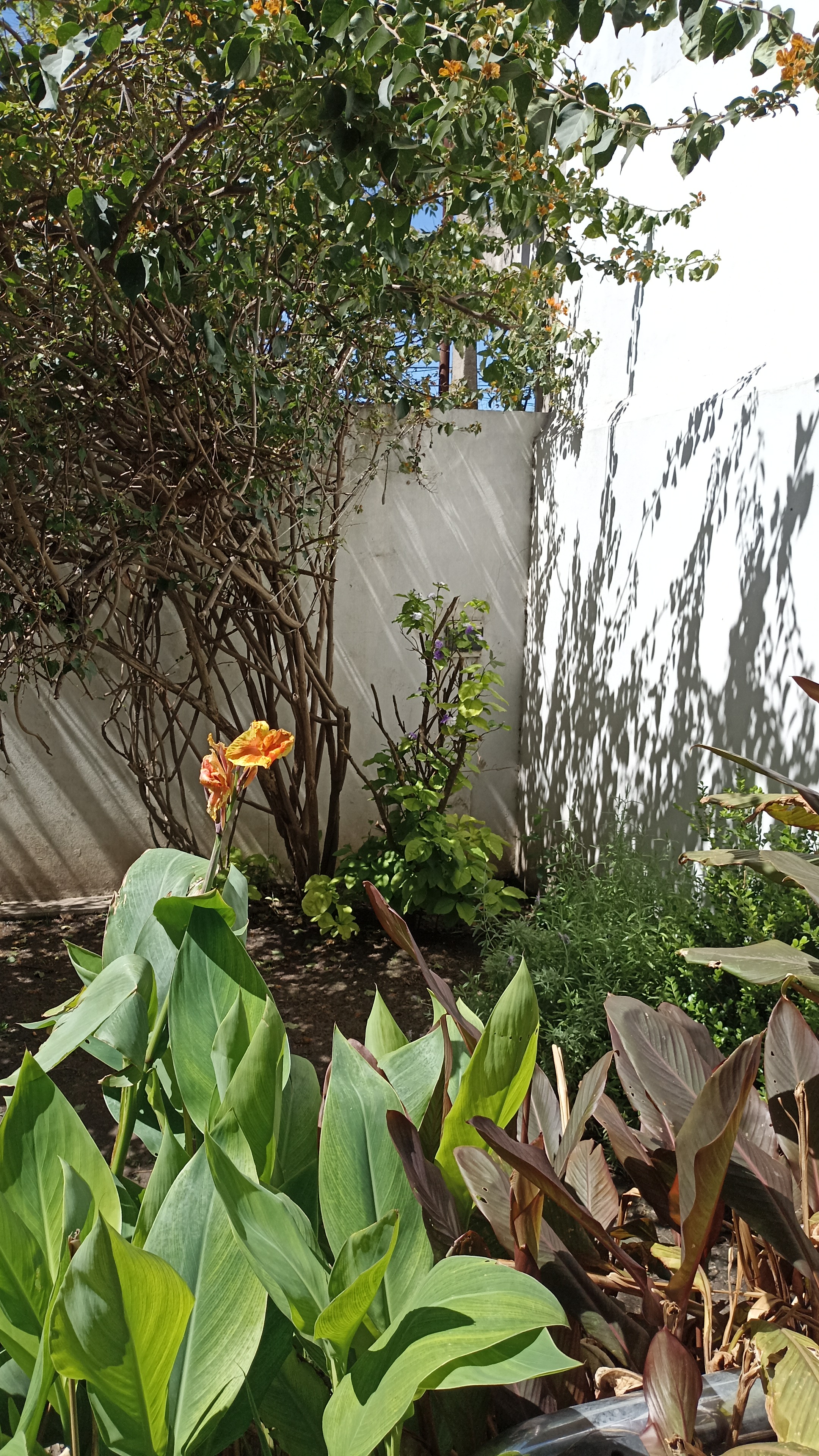 Profile picture for user LucianaHuck