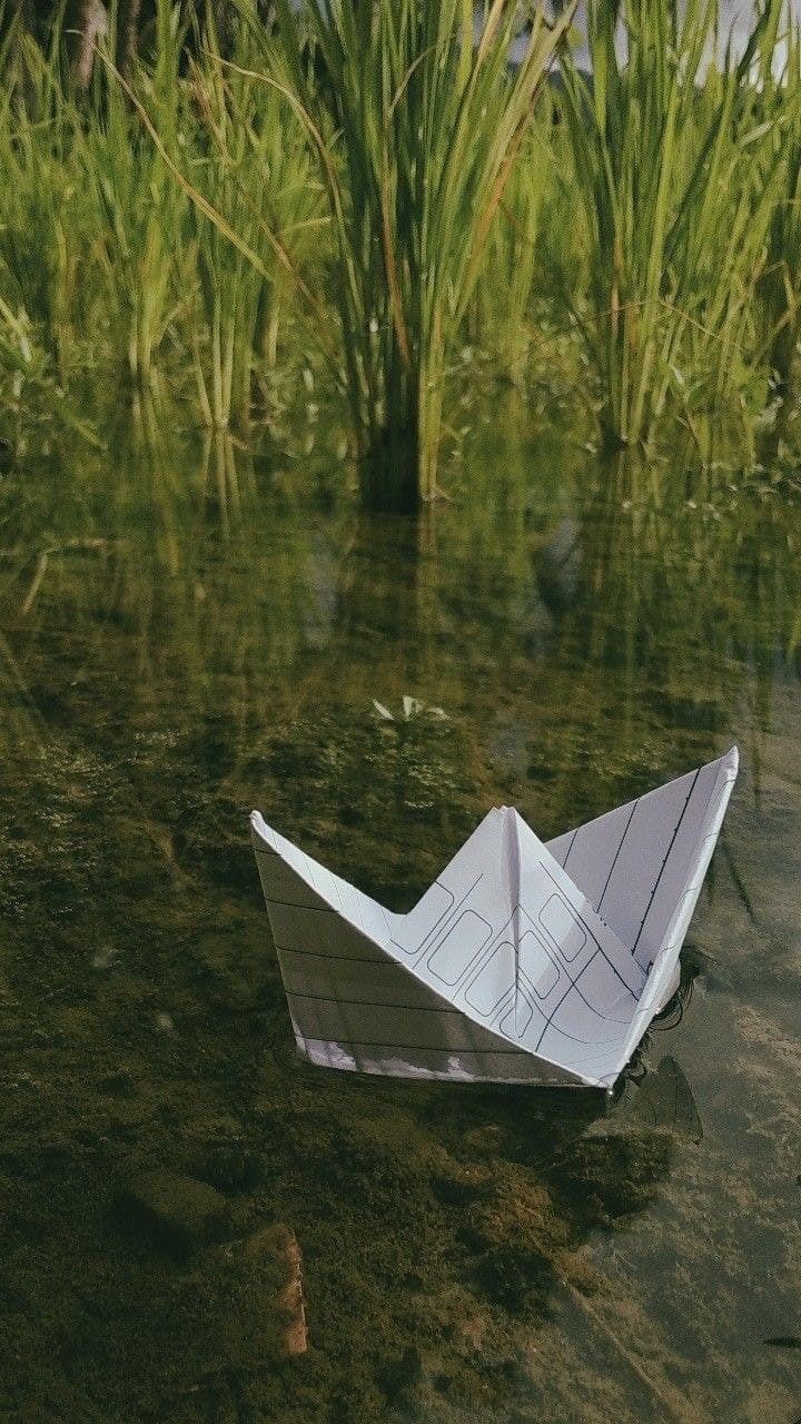 Profile picture for user syarifahanggilestari