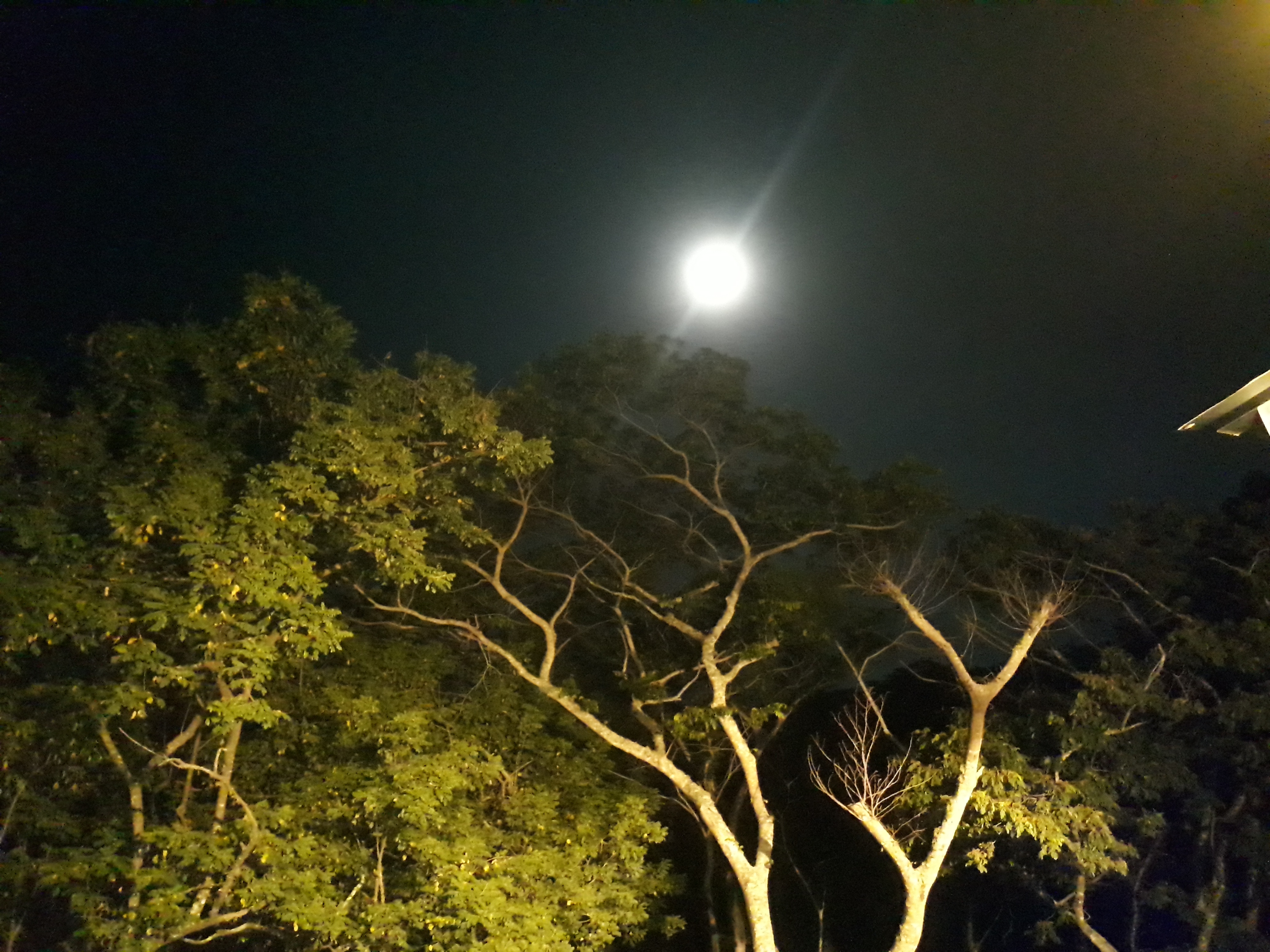 Profile picture for user Kenia_Martinez