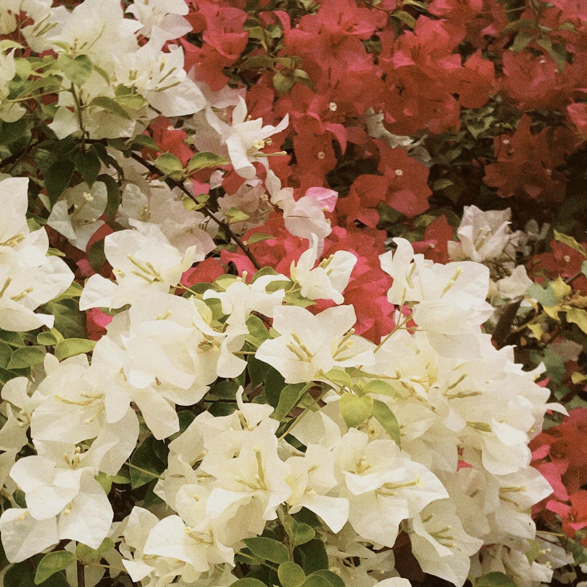 Profile picture for user lethungoc118