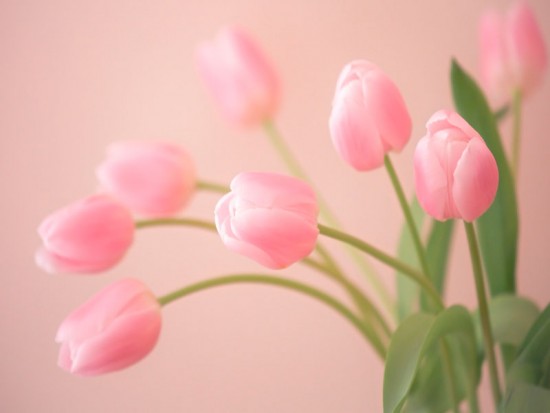 Profile picture for user Olivka1979