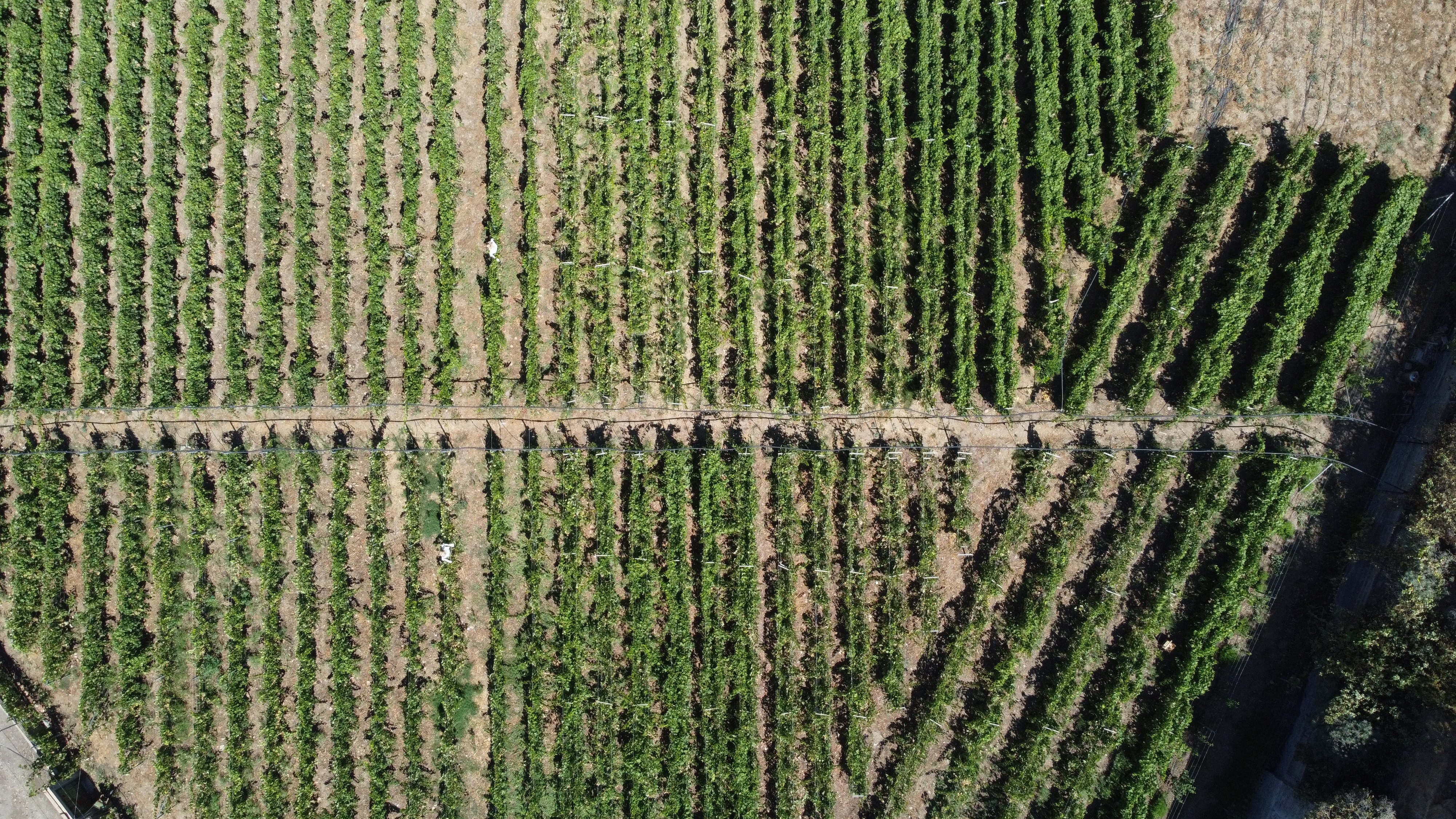 Profile picture for user maquinista087