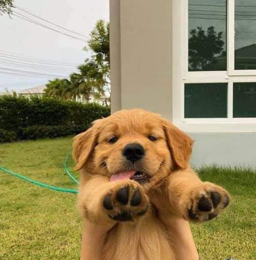 Profile picture for user elizebert