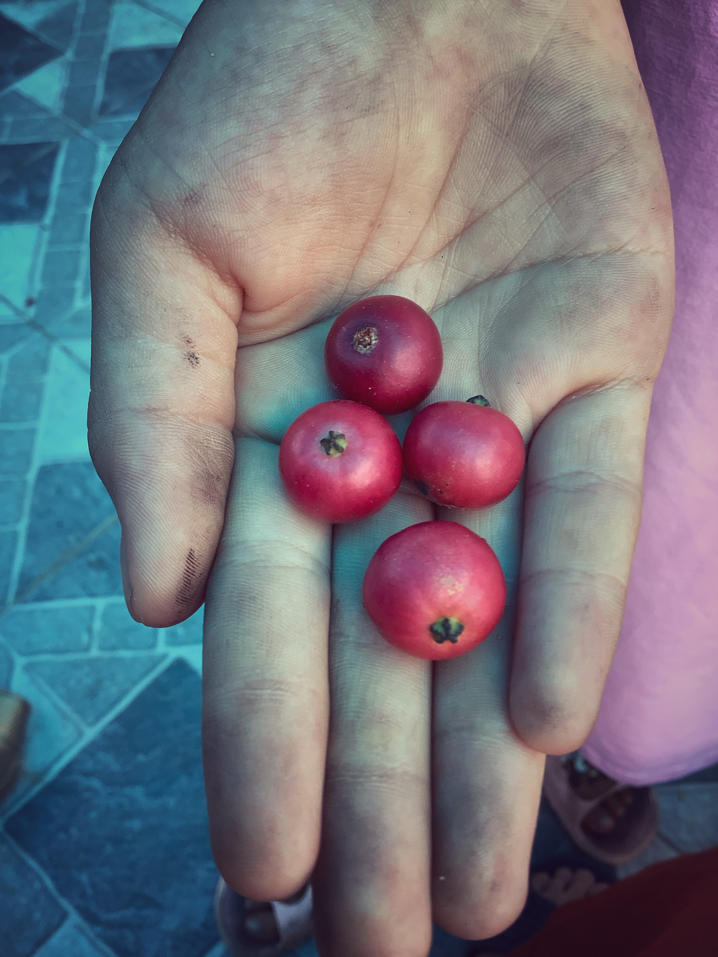 Profile picture for user ThuyDo220529