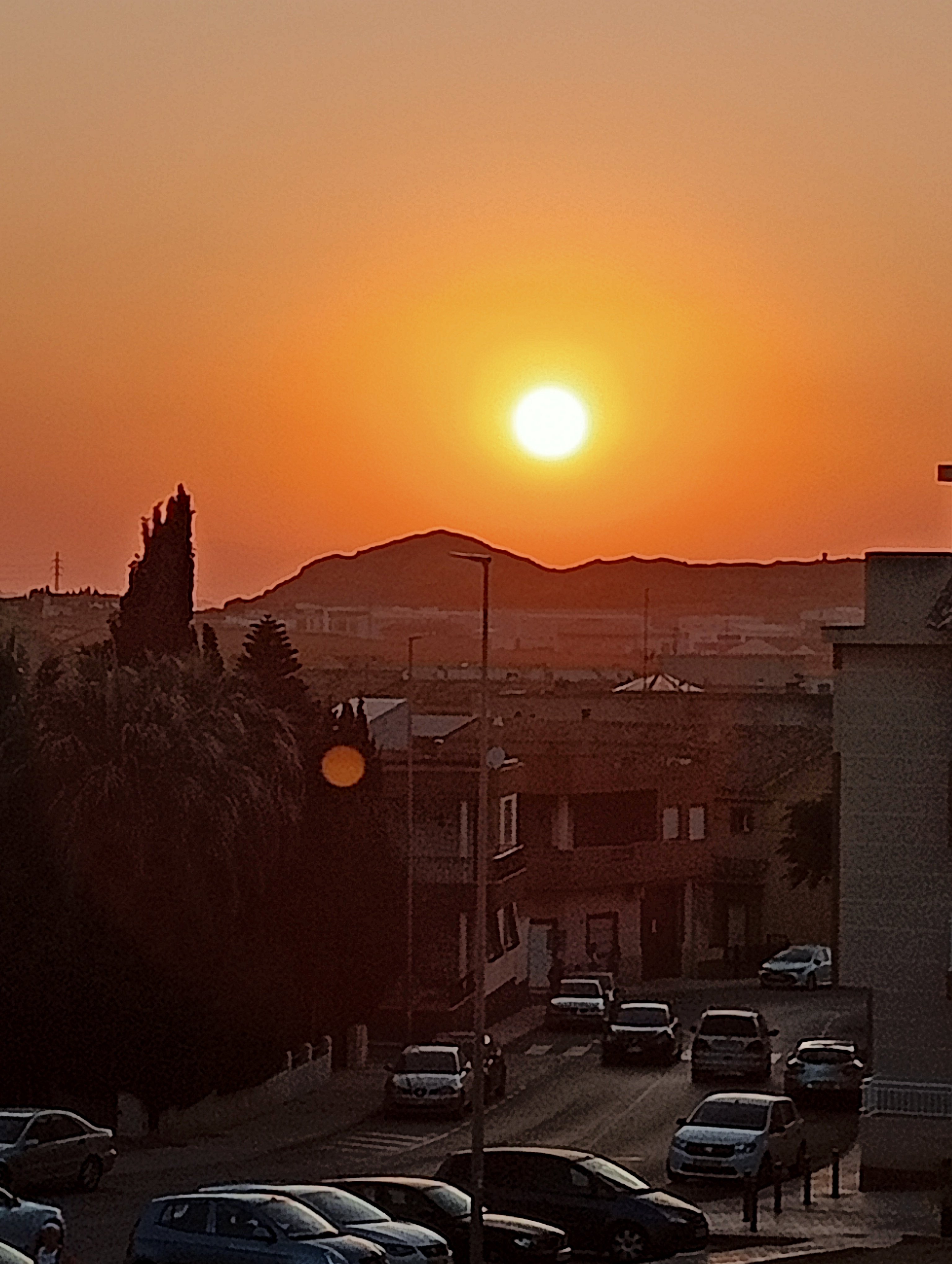 Profile picture for user Danielaantoon