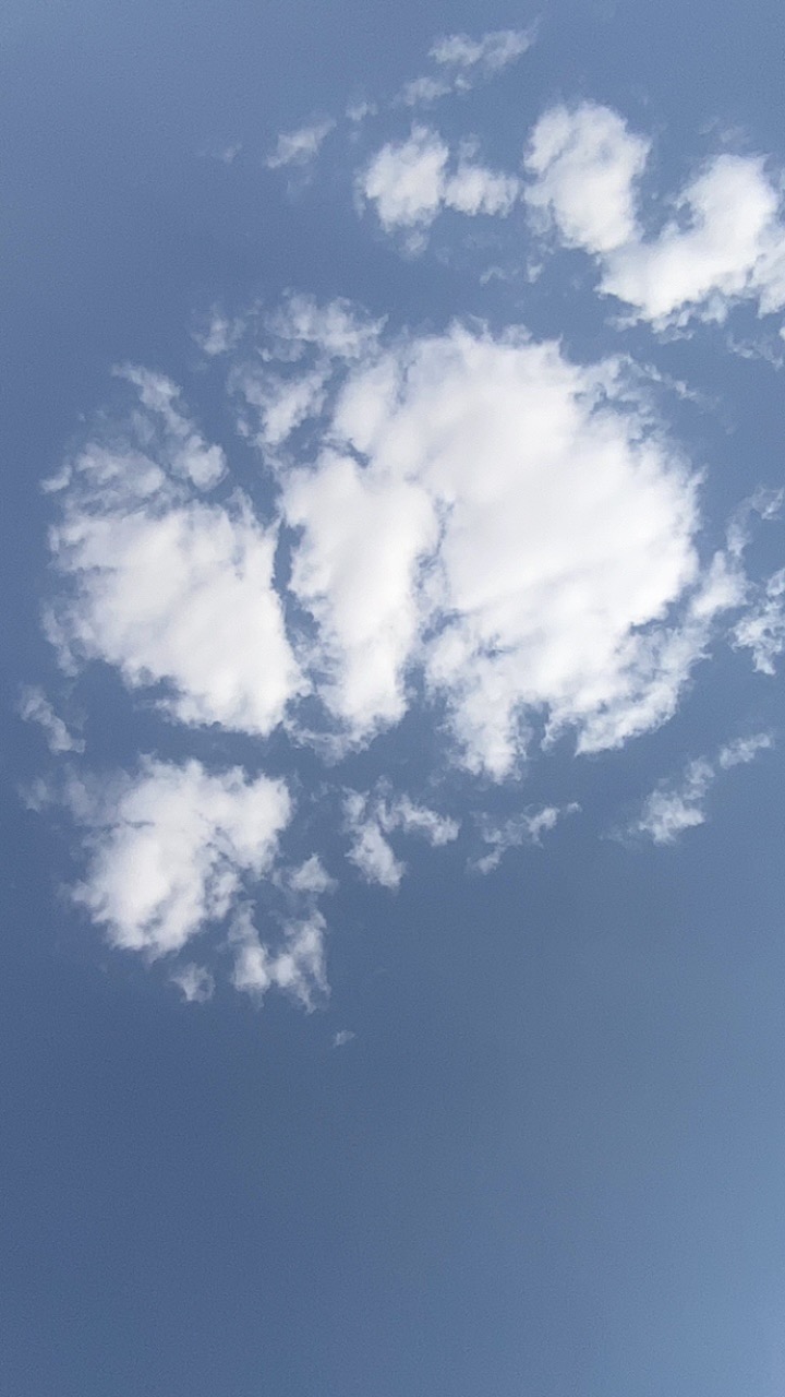 Profile picture for user cocoagirlies