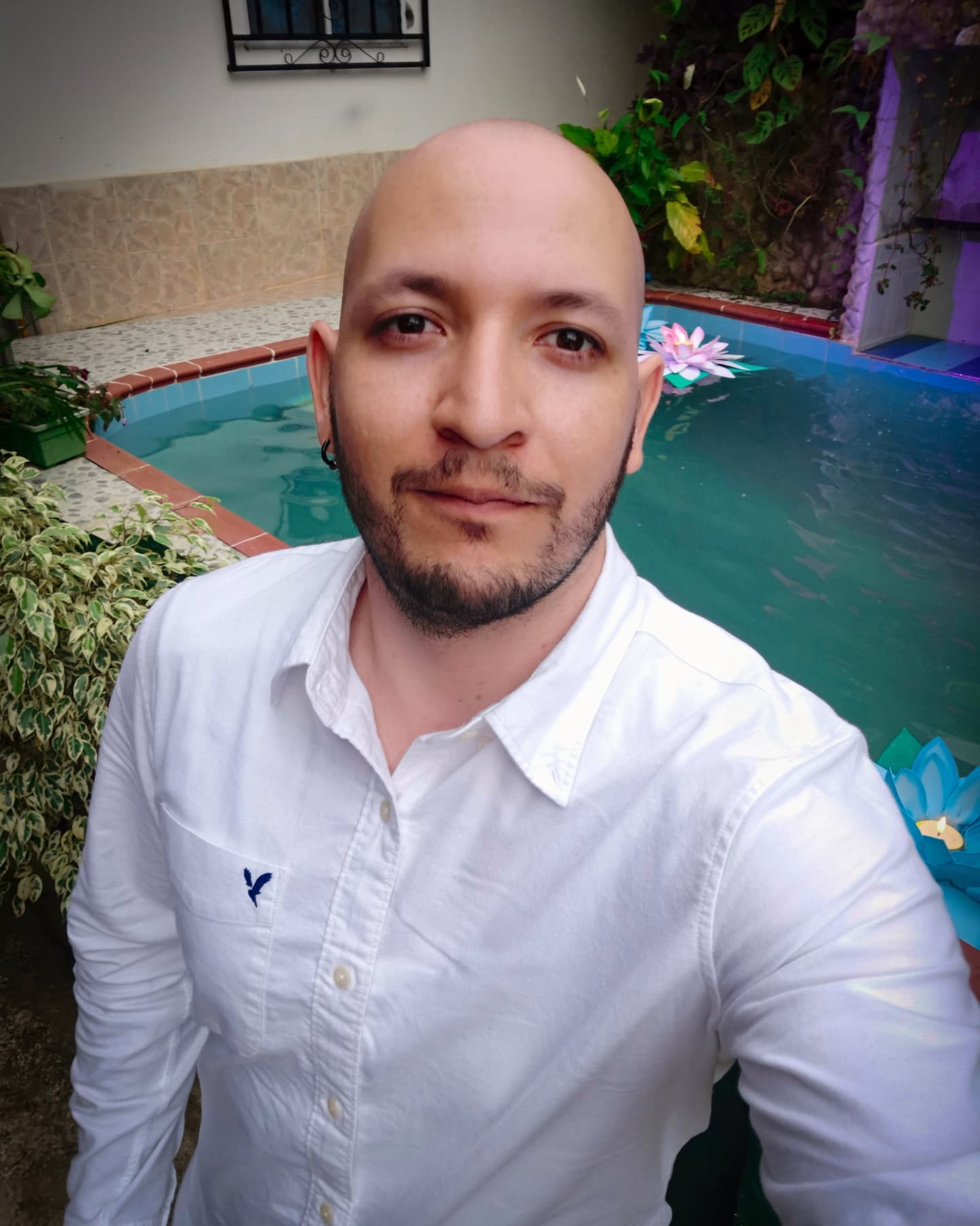 Profile picture for user cesarquijanosarmiento