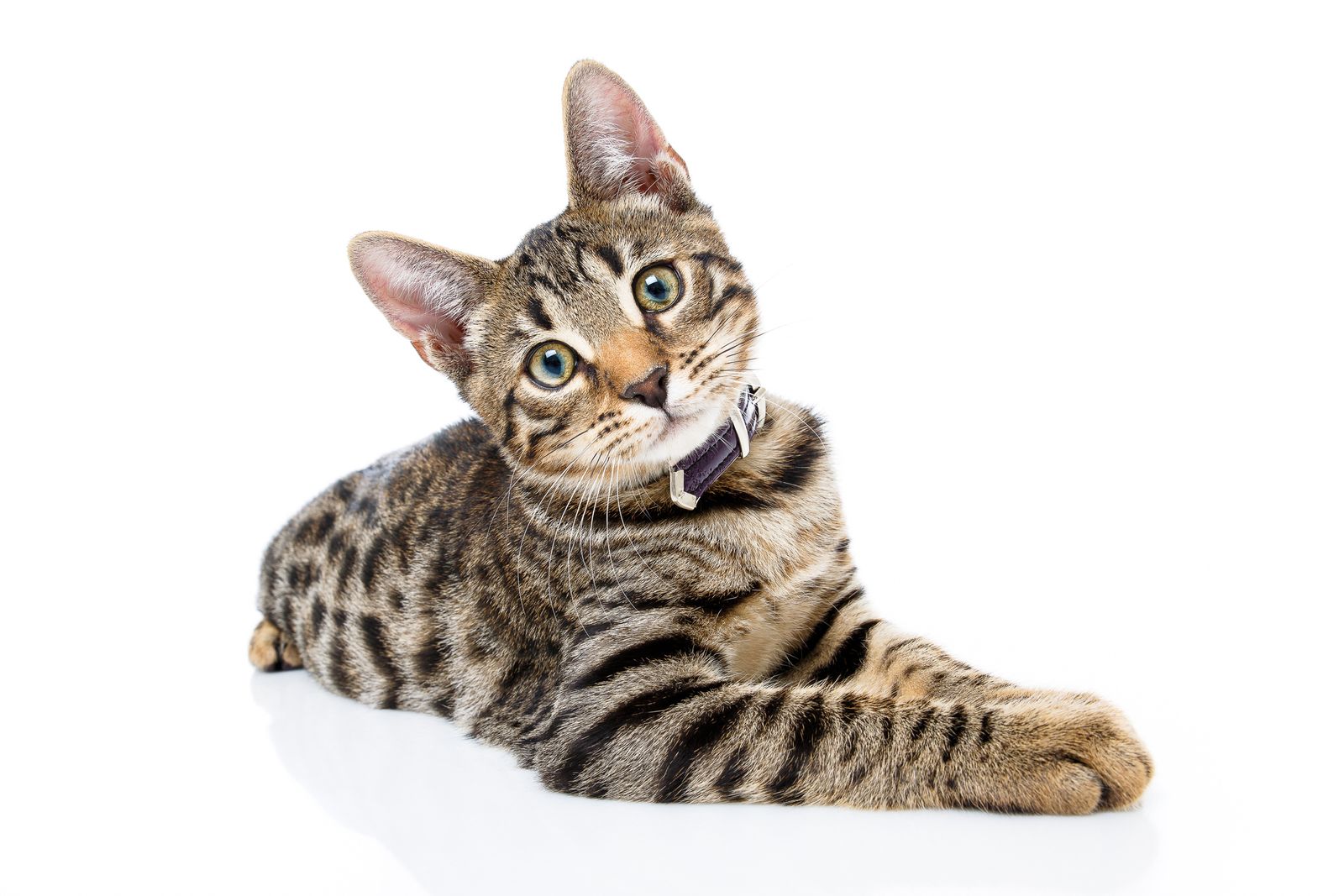 Profile picture for user nguyenhanh2303