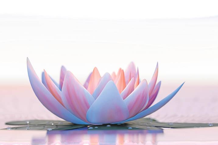 Profile picture for user raqueldiez