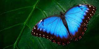 Profile picture for user Ross2904