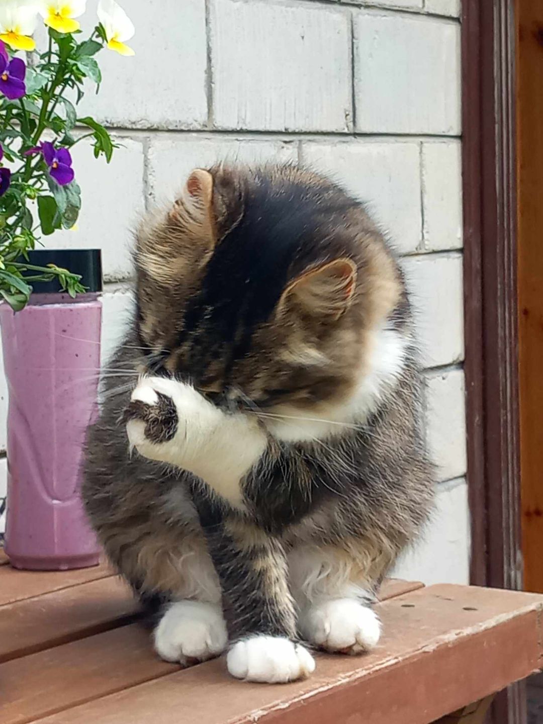 Profile picture for user inglisekeel