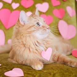 Profile picture for user MissBrendavasquez