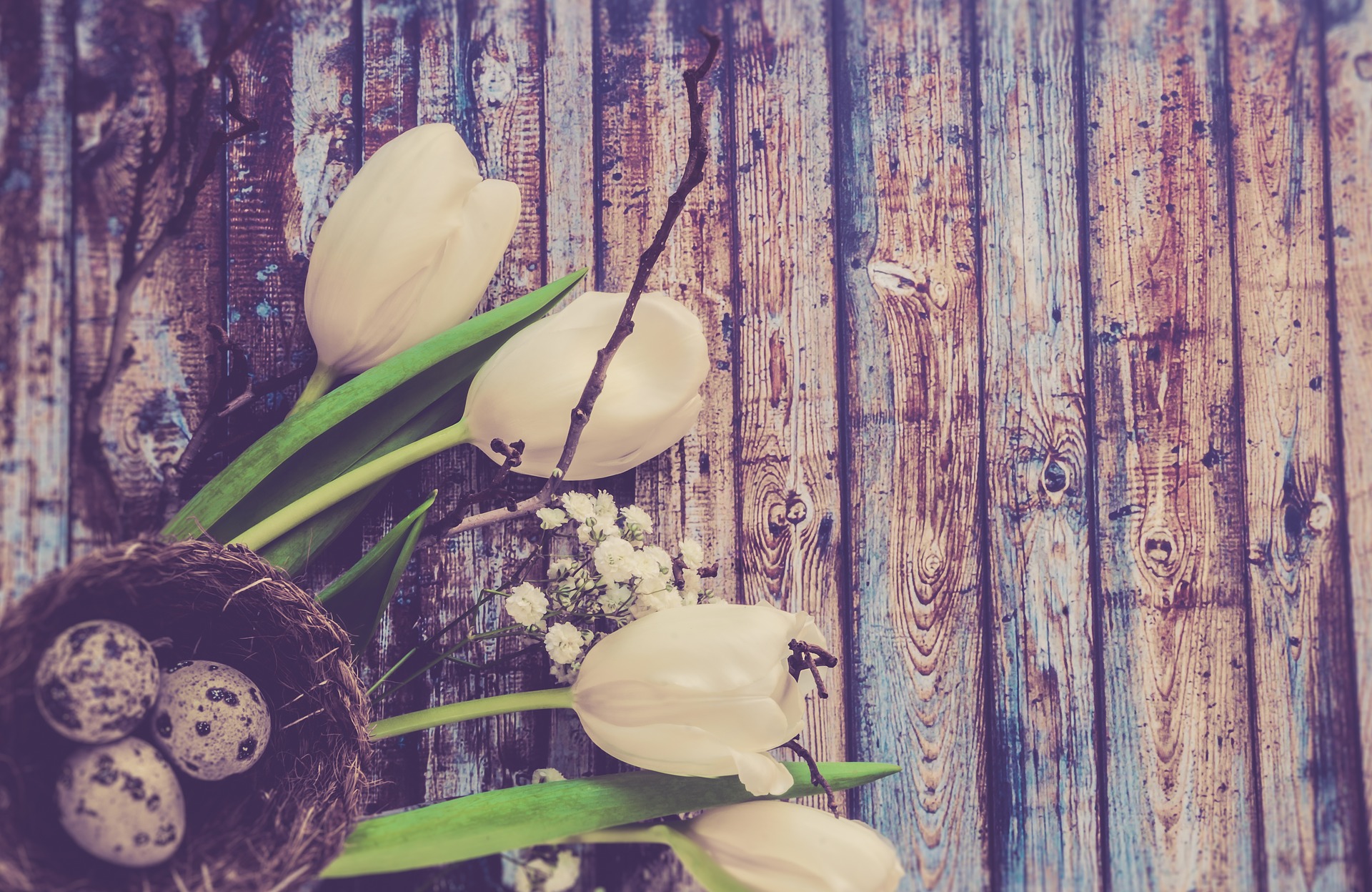 Profile picture for user m_llorente