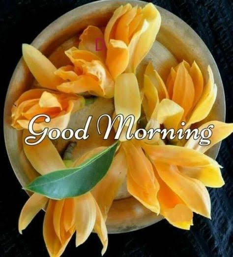 Profile picture for user ingaoy