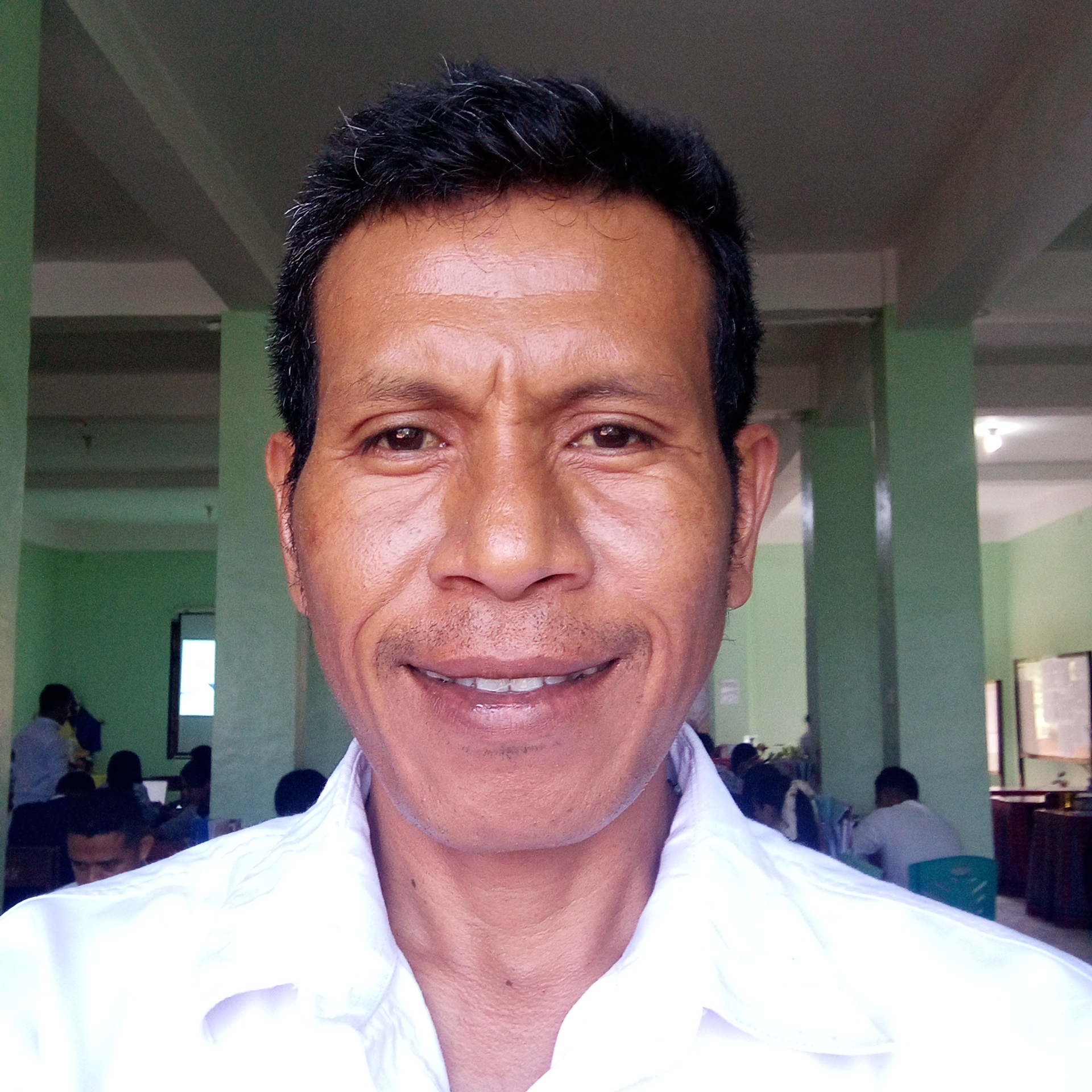 Profile picture for user pachos