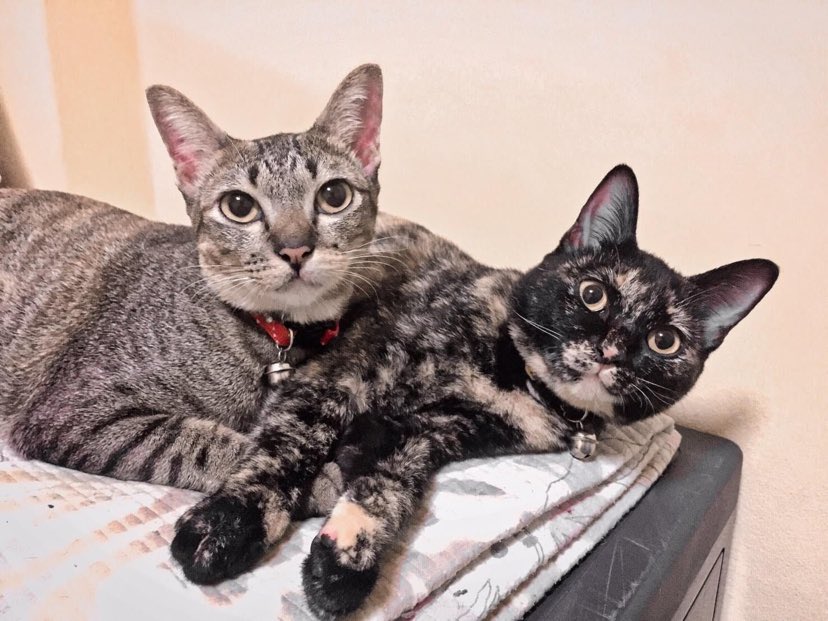 Profile picture for user Aiewpor