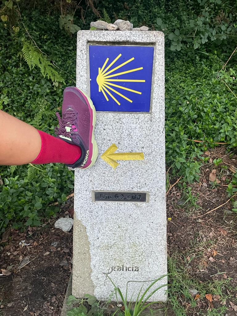 Profile picture for user JMaryteacher121