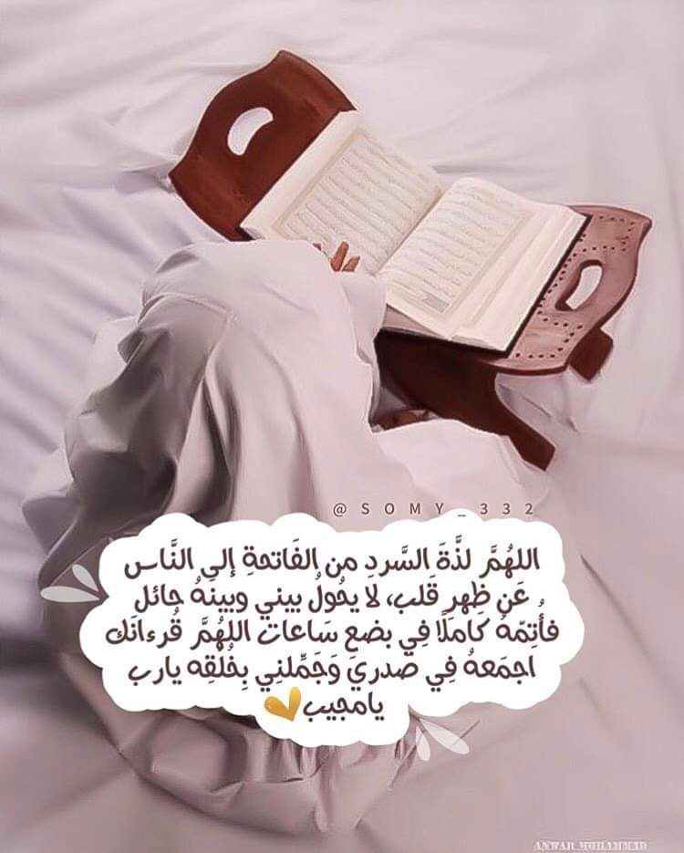 Profile picture for user Sanaa-hedaya_2022