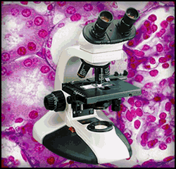 Profile picture for user DocenteErick