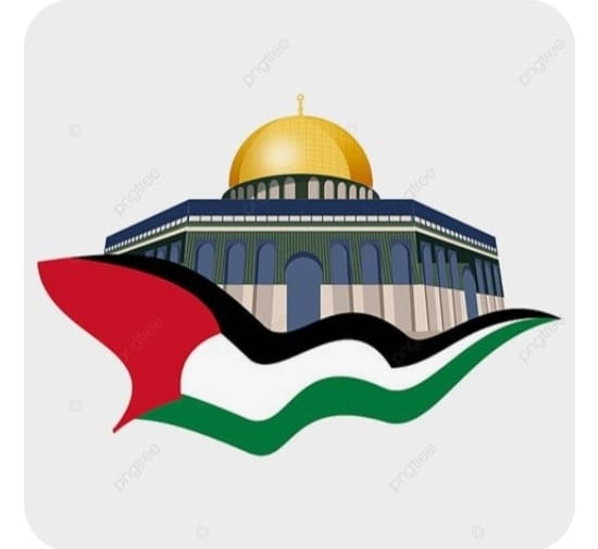 Profile picture for user aminaabdelaziz