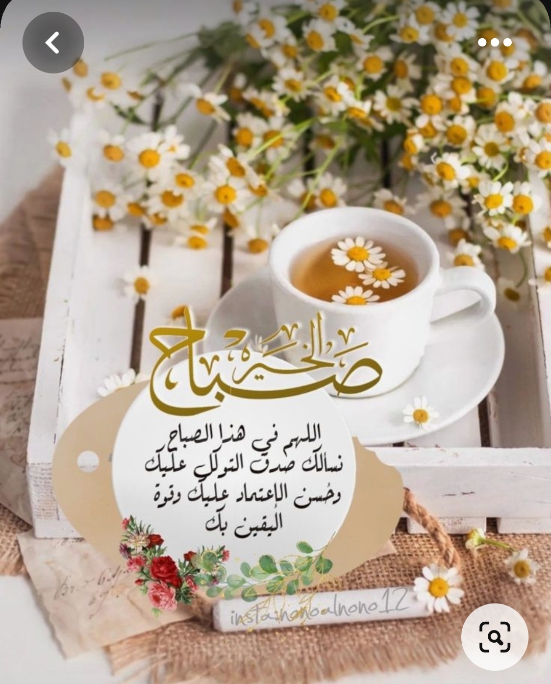 Profile picture for user Manalalsayed69