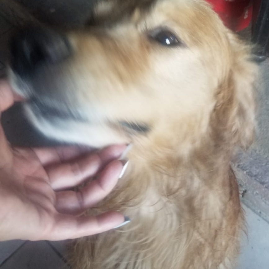 Profile picture for user Gabimik44