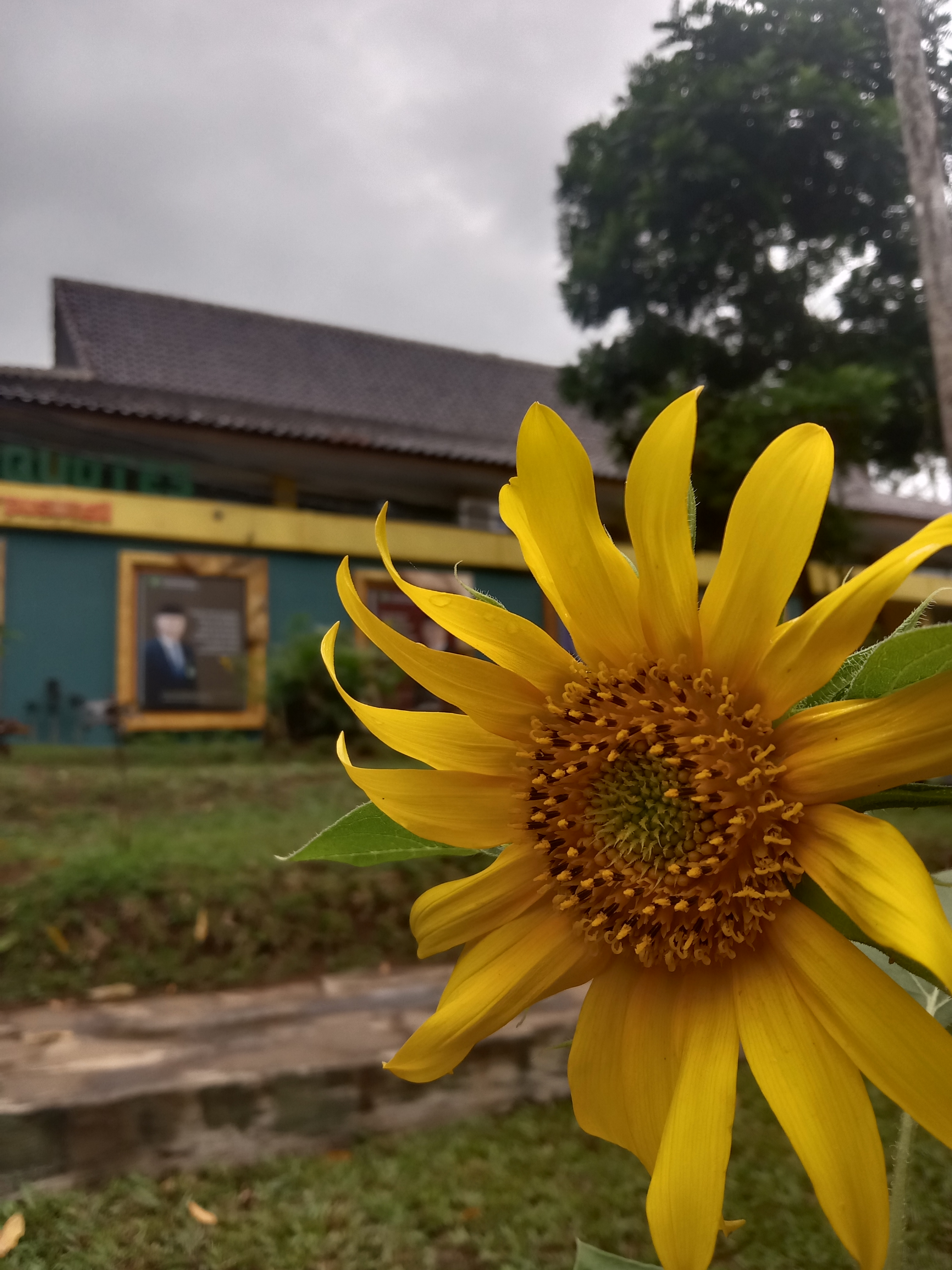 Profile picture for user vani0412