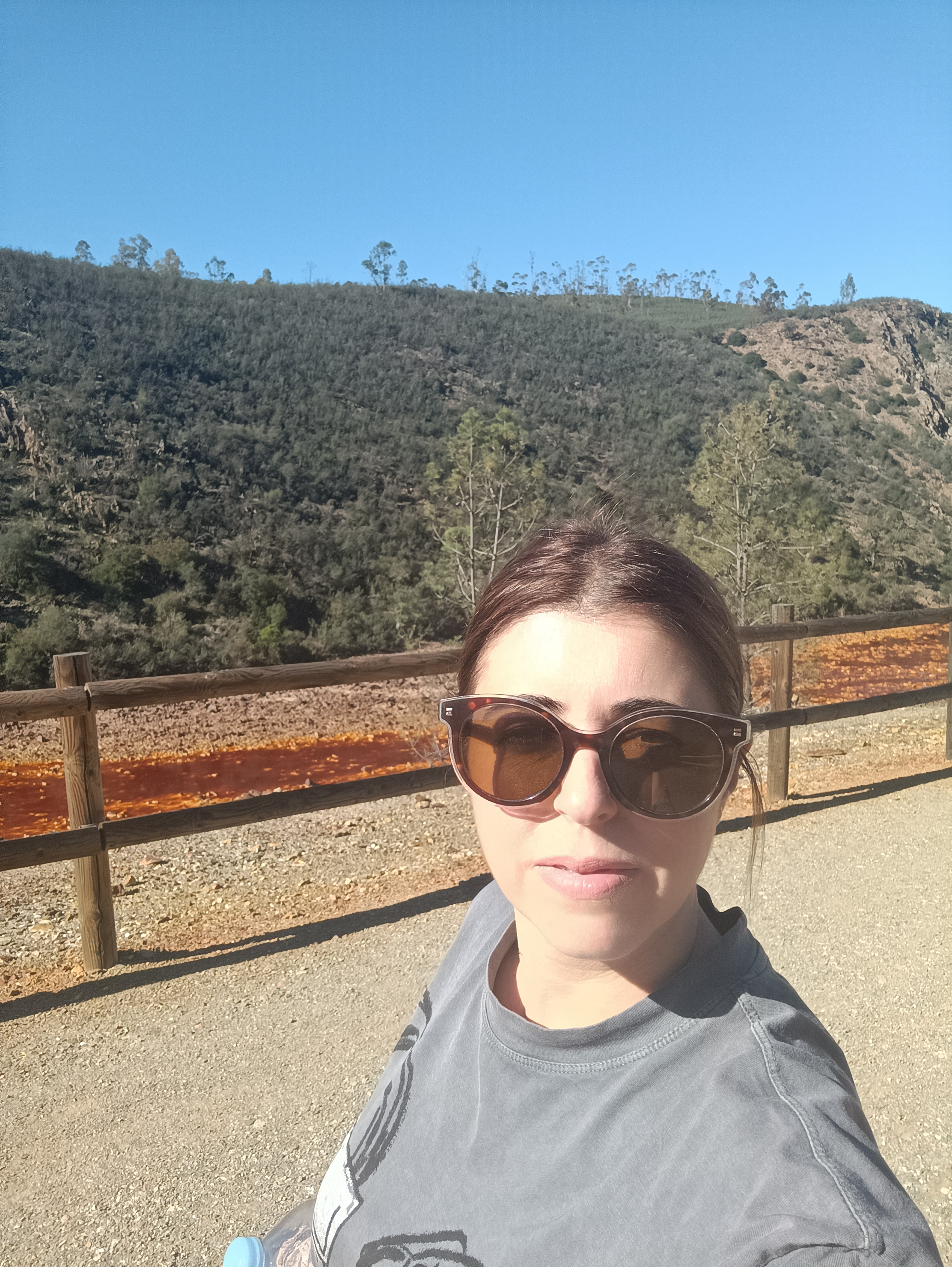 Profile picture for user rocastilla