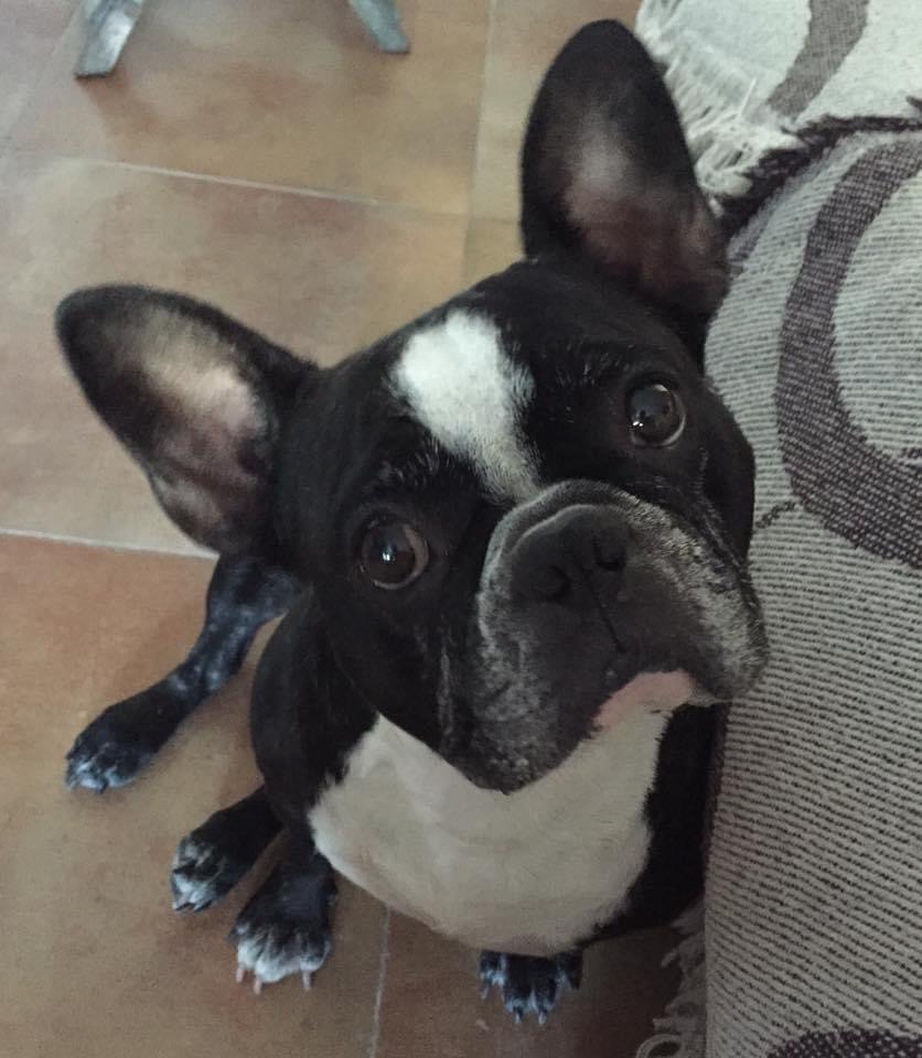 Profile picture for user Azaharamg