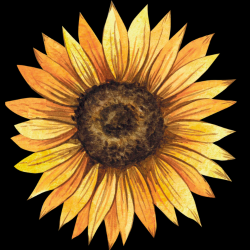 Profile picture for user Rachelan