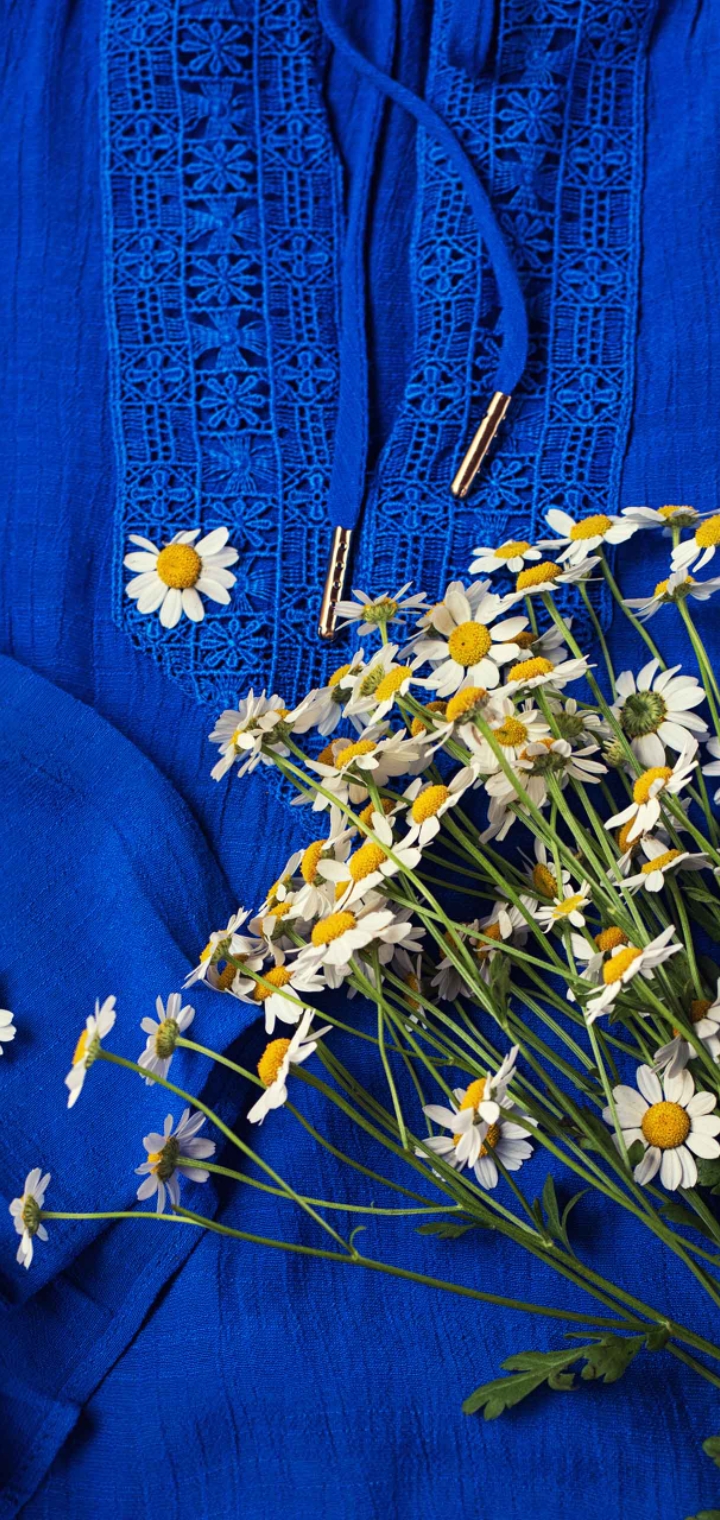 Profile picture for user Hanaa_Khwagah