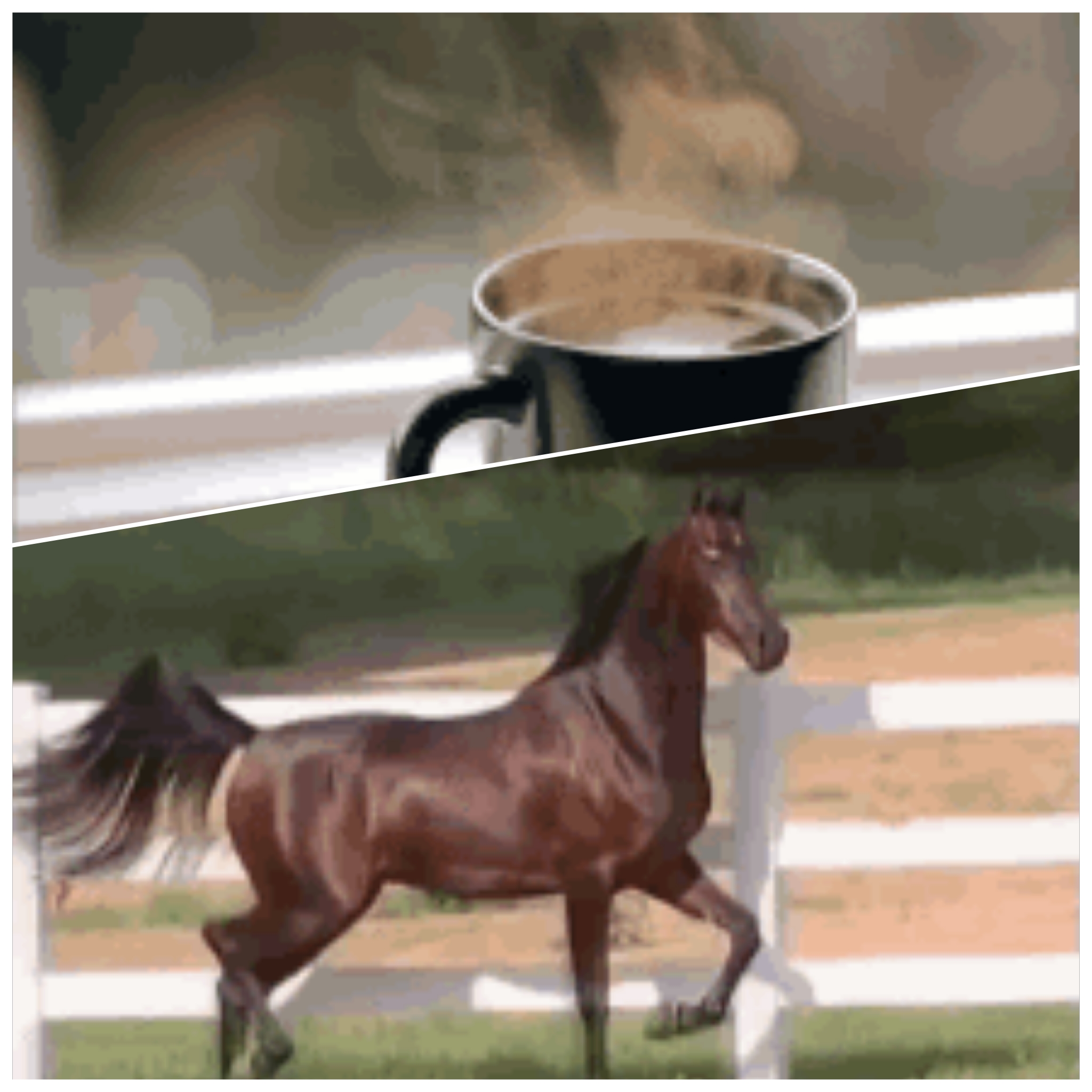 Profile picture for user fatimahalhweitat