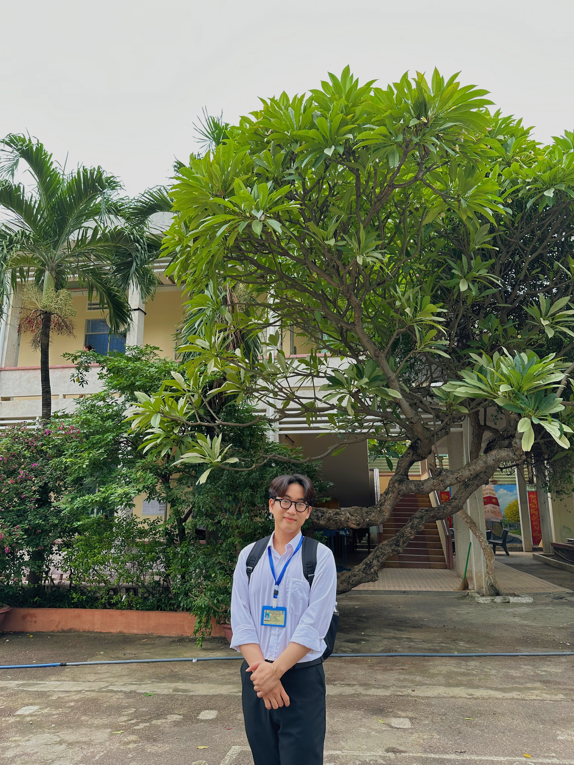 Profile picture for user hocaonguyenvu