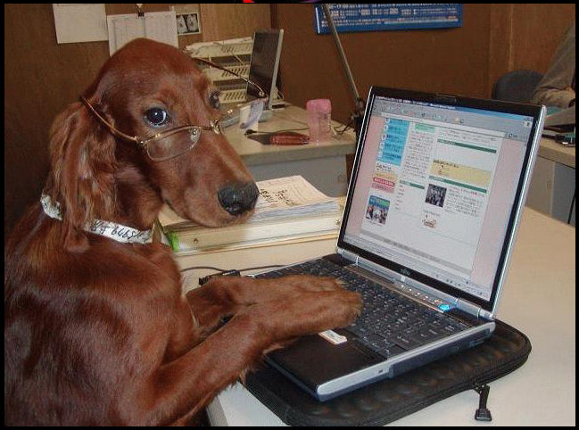 Profile picture for user ana_herce91