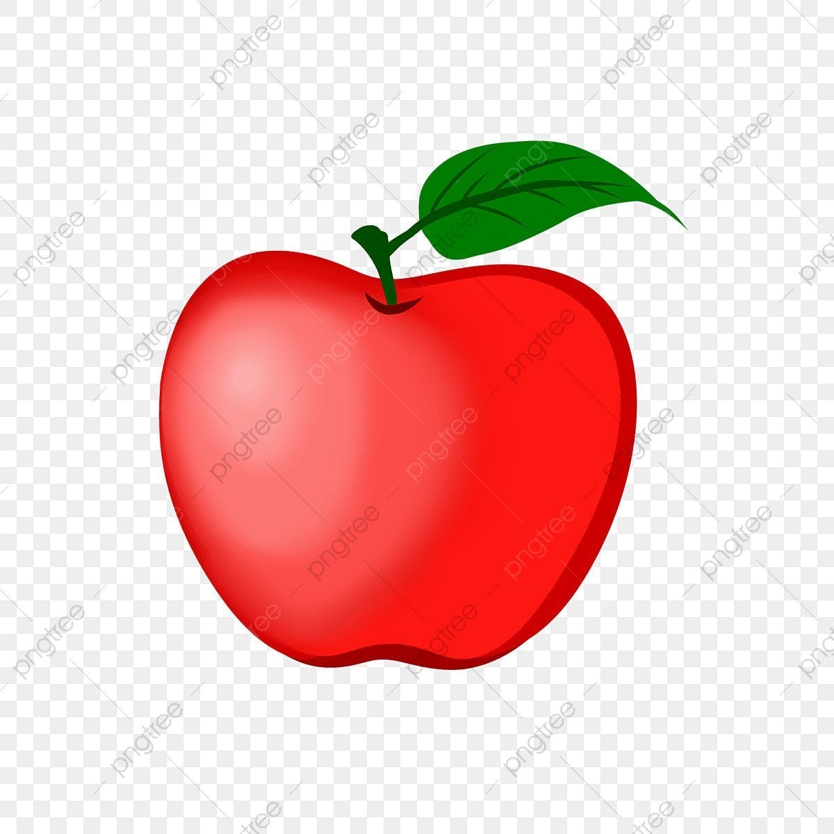 Profile picture for user fern54