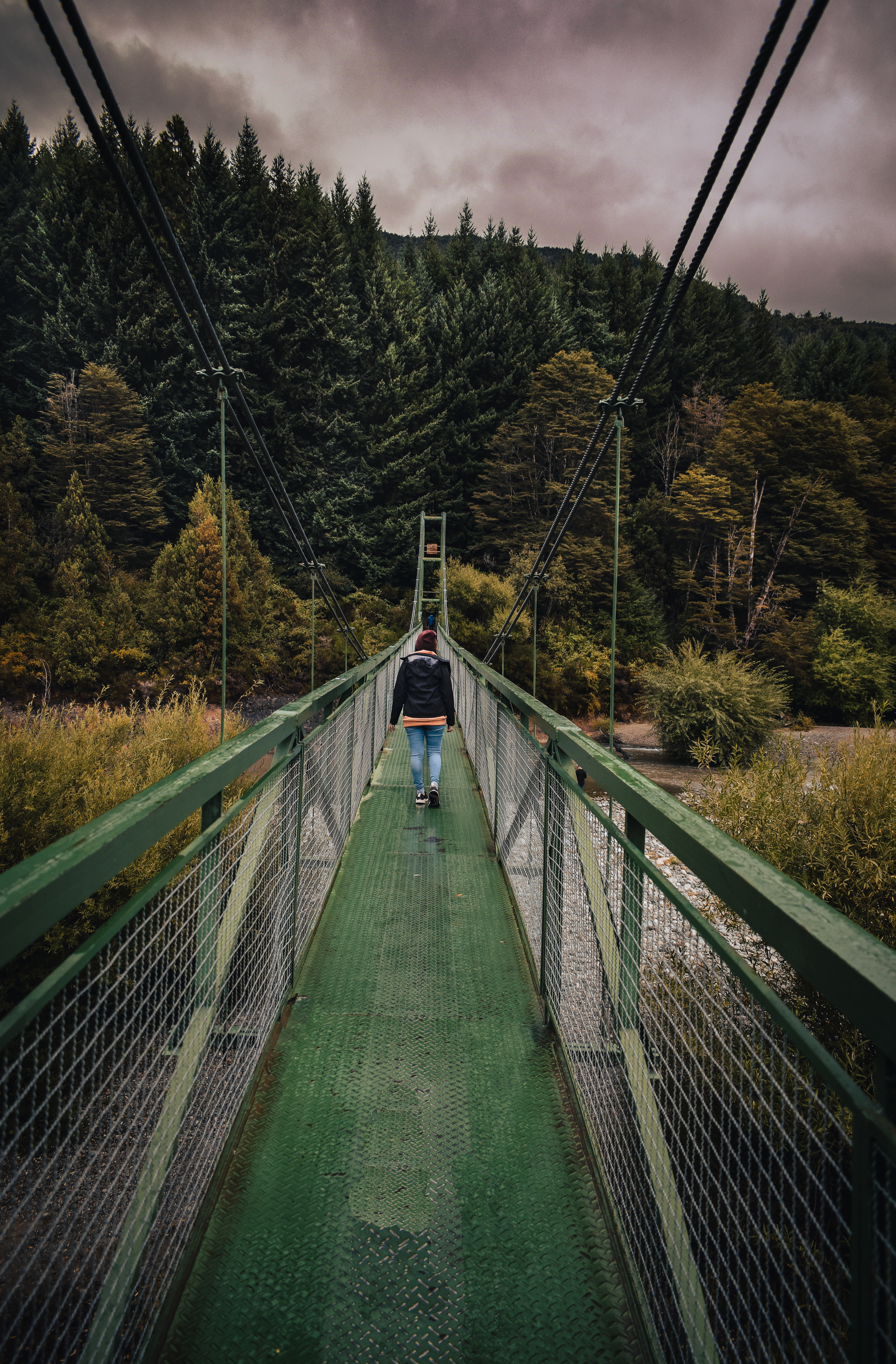 Profile picture for user anahi_marcela