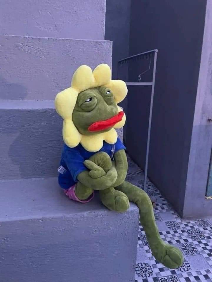 Profile picture for user MsEden_tkEnglish