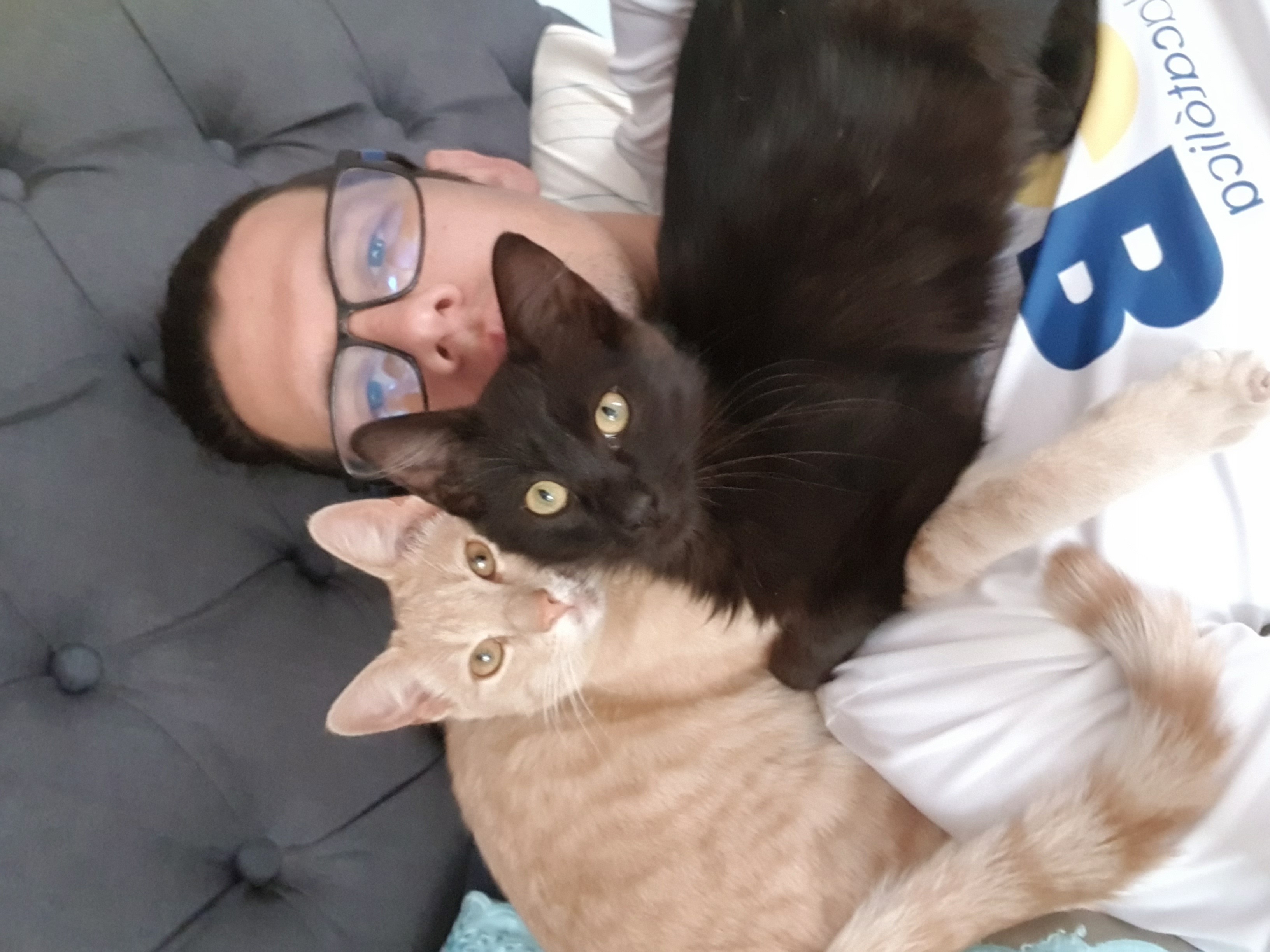 Profile picture for user ManuelGM